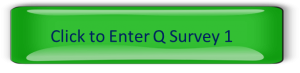 Q Sort 1