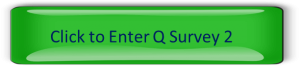 Q Sort 2